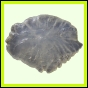 eucspp_1329_a_002
