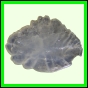 eucspp_1330_a_002