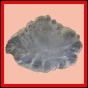 eucspp_1330_b_001