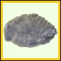 eucspp_1331_a_002