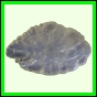 eucspp_1331_b_001