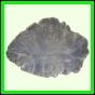 eucspp_1332_a_002