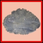 eucspp_1332_b_001