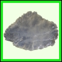 eucspp_1333_a_002