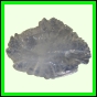 eucspp_1333_b_001