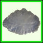 eucspp_1334_a_002