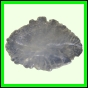 eucspp_1334_b_001