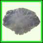 eucspp_1335_a_002