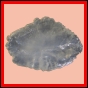 eucspp_1335_b_001