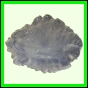 eucspp_1336_a_002