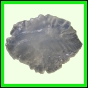 eucspp_1336_b_001