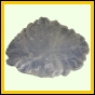 eucspp_1337_a_003