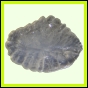 eucspp_1337_b_001