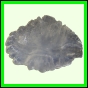 eucspp_1338_a_002