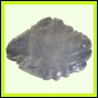 eucspp_1338_b_001