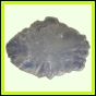 eucspp_1339_b_003