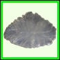 eucspp_1340_a_001