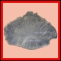 eucspp_1340_b_002