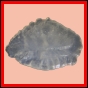 eucspp_1341_a_001