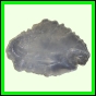 eucspp_1341_b_002