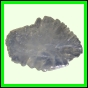 eucspp_1342_a_001