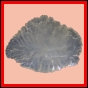 eucspp_1342_b_002