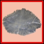 eucspp_1343_b_002
