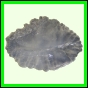 eucspp_1344_a_001