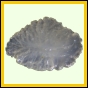 eucspp_1344_b_002