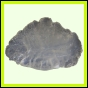 eucspp_1345_a_001