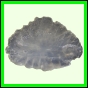 eucspp_1345_b_002