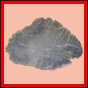 eucspp_1346_a_001