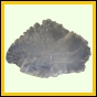 eucspp_1346_b_002