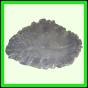 eucspp_1347_a_001