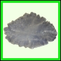 eucspp_1347_b_002