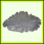 eucspp_1348_a_001