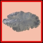 eucspp_1348_b_002