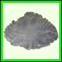 eucspp_1349_a_001