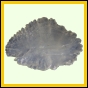 eucspp_1349_b_002