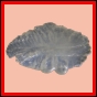 eucspp_1350_a_001