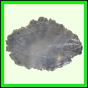 eucspp_1351_b_002