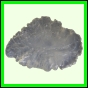 eucspp_1352_a_001