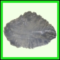 eucspp_1352_b_002