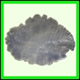 eucspp_1353_b_001