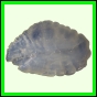 eucspp_391_a_001