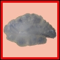 eucspp_392_b_002