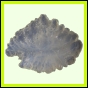 eucspp_393_b_003