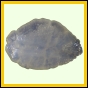 eucspp_396_a_002