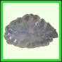 eucspp_397_a_002