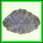 eucspp_398_a_003